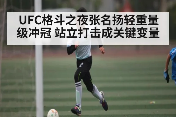UFC格斗之夜张名扬轻重量级冲冠 站立打击成关键变量 - kaiyun